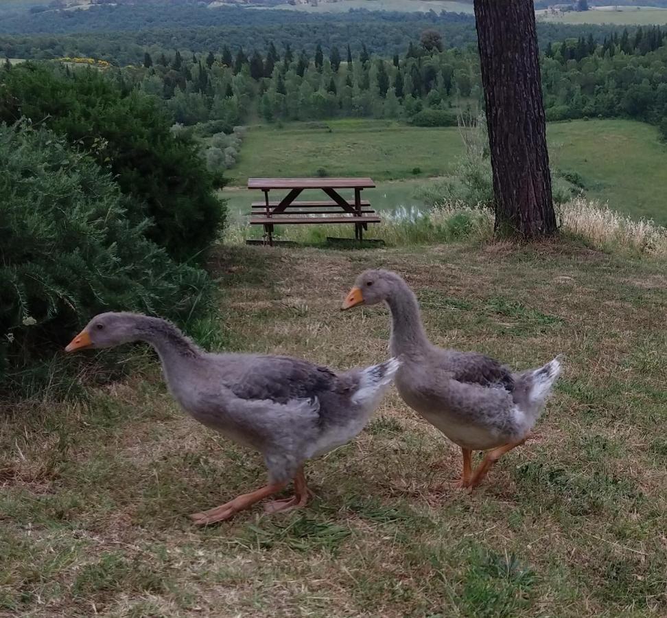 Вілла Agriturismo Sole Трекуанда Екстер'єр фото