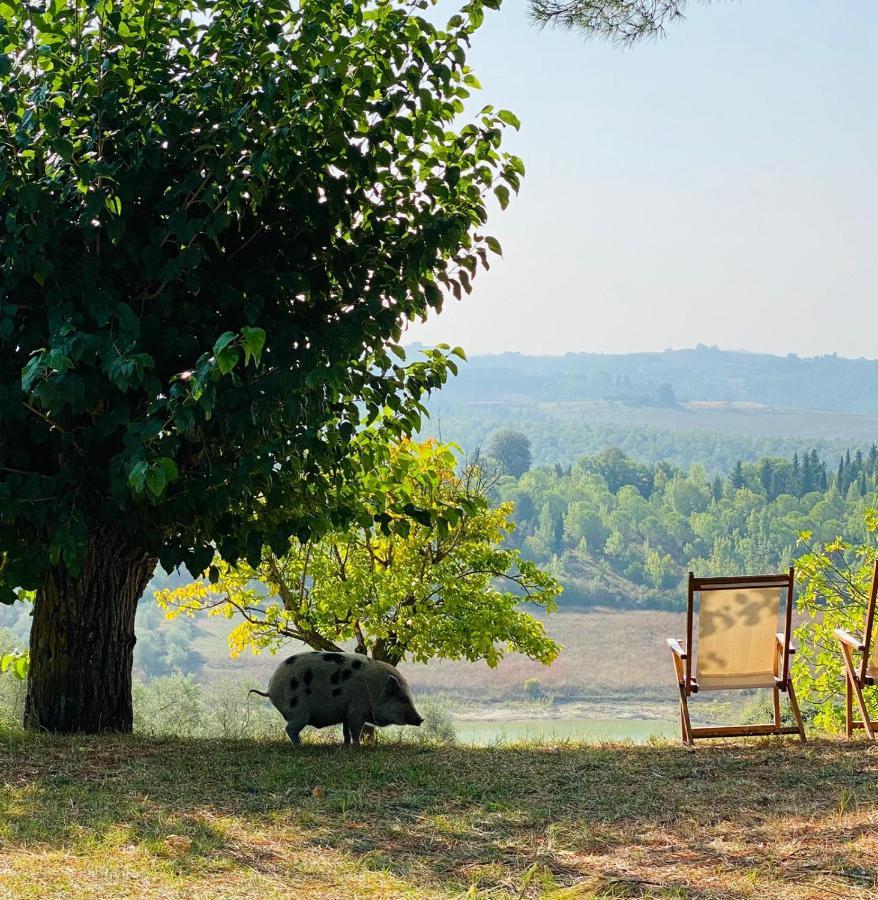 Вілла Agriturismo Sole Трекуанда Екстер'єр фото